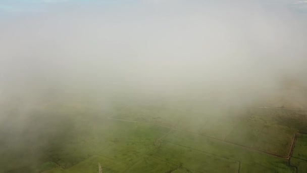 Aerea nuvola bianca coprire il campo verde . — Video Stock