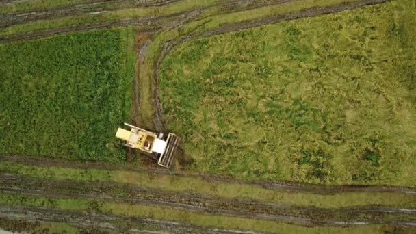 Aerial top down view the harvester work — Stock Video