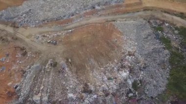 Uçan beyaz balıkçıl kuşları