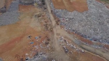 Havadan aşağıya beyaz balıkçıl kuşları uçar.