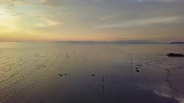 Kıyıya yakın kuru ağaçların üzerinden geç.