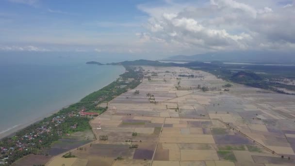 Luchtfoto overstroomd rijstveld nabij Kuala Muda, Kedah — Stockvideo