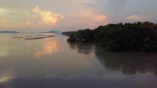 Vista aérea vista do pôr do sol as árvores de mangue perto da costa — Vídeo de Stock