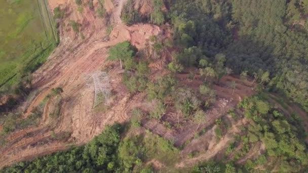 Vista aérea desmatamento de terras — Vídeo de Stock