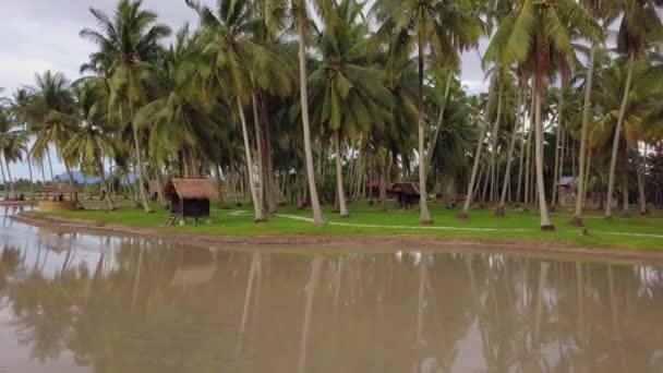Vista aérea cabaña de madera en plantación de coco — Vídeo de stock