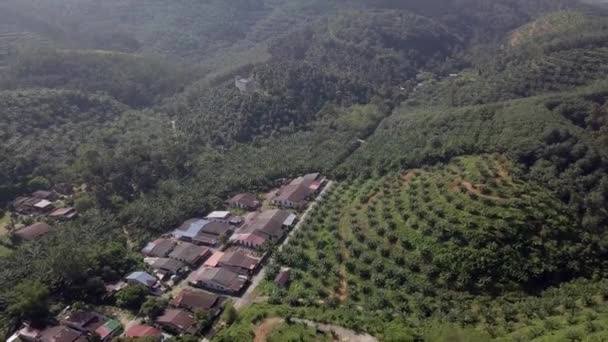 Widok z powietrza zielone drzewa otaczają Kampung Baru Bukit Besar — Wideo stockowe