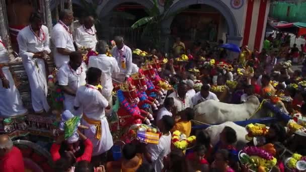 Thaipusam Festivali sırasında Lord Murugan 'a yüksek açılı hediyeler vermek.. — Stok video