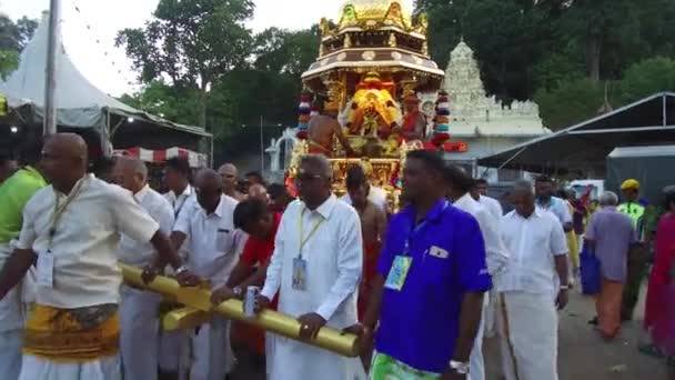 Carro d'oro trainato dai devoti durante il festival di Thaipusam — Video Stock