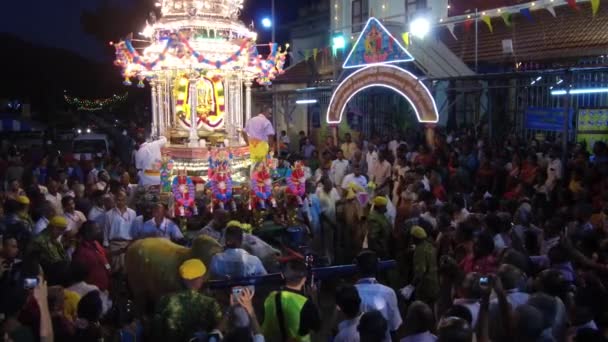 Święty krowy przychodzą wyciągnąć srebrny rydwan podczas ostatniego dnia Thaipusam. — Wideo stockowe