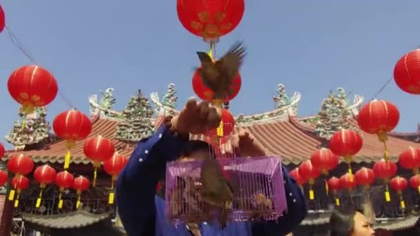 Los devotos masculinos liberan al pájaro de la práctica de jaula del budista — Vídeo de stock