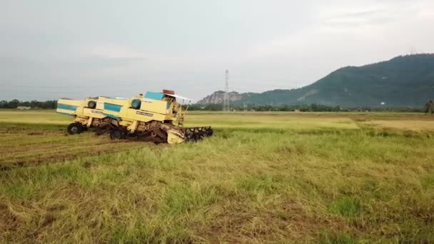 Vista aérea de la pista giratoria de las cosechadoras en el campo de arroz . — Vídeos de Stock
