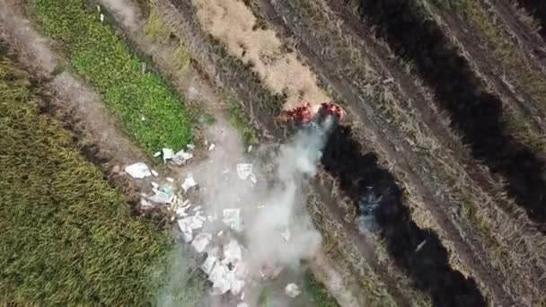 Aerial rotating look down open fire and rubbish throw at paddy field. — Stock Video