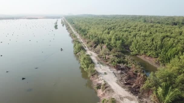 Flygfiskare ro båt nära mangrove skog. — Stockvideo