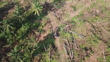 Arazi temizleme alanındaki sarı kazıcıya bakan hava görüntüsü