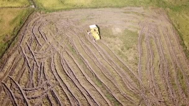 Visión aérea cosechadora amarilla con las aves garza seguir en la parte posterior . — Vídeo de stock