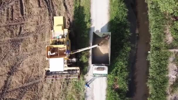 Aerial top view yellow harvester load the rice paddy into truck beside river. — Stock Video