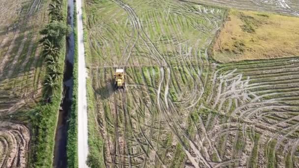 Letecký pohled sklízeč pohyb v rýžovém poli. — Stock video