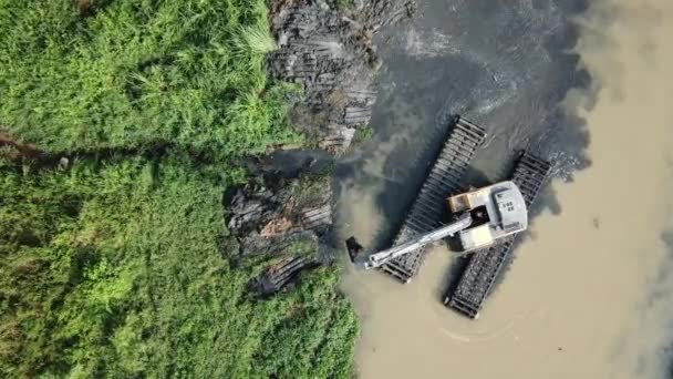 河上挖掘机的挖掘过程使昆虫四处飞舞. — 图库视频影像