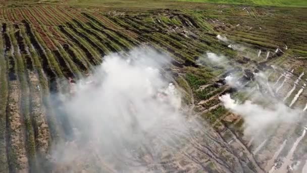 Campo di risaia aperto che brucia dopo il raccolto . — Video Stock