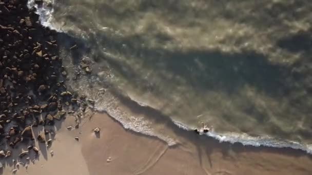 Pássaro olho vista família jogar no litoral perto de rock em Bagan Ajam Pantai Bersih. — Vídeo de Stock