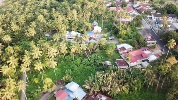 Vista aerea villaggio rurale con piantagione di cocco . — Video Stock