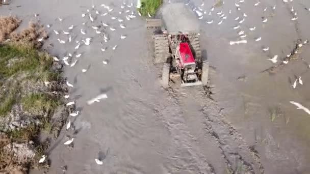 Vista de arriba hacia abajo tractor rojo arando la tierra , — Vídeos de Stock