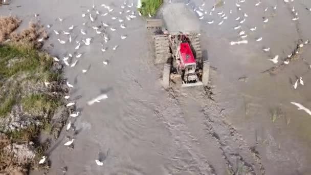 Vue du haut vers le bas tracteur rouge labourant la terre , — Video