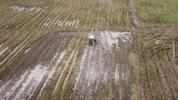 Tracteur aérien labourant la terre boueuse au champ . — Video