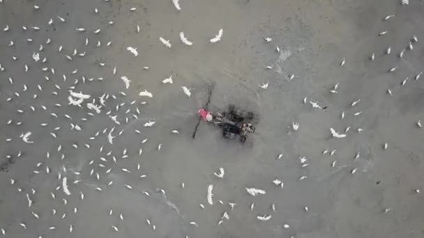 Bird eye view Boer met behulp van kleine trekker aan ploegen. — Stockvideo