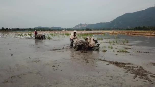 Dois agricultores usam pequenos tratores arando o campo de arrozais enlameado . — Vídeo de Stock