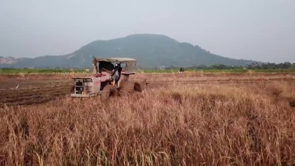 Arka planda Cherok Tokun tepesi olan alçak açılı traktör tarlayı sürüyor. — Stok video