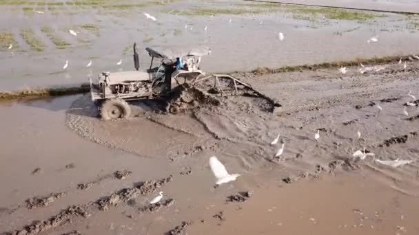 Seguimiento aéreo del tractor arando en el arrozal inundado . — Vídeos de Stock