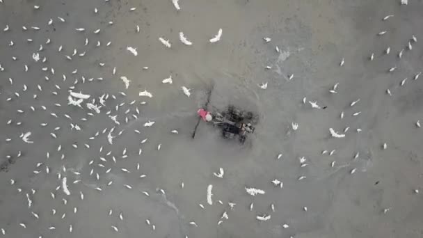 Bird eye view Farmer using small tractor to plowing. — Stock Video