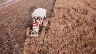 Yukarıdan aşağı traktör pirinç tarlasını sürüyor..
