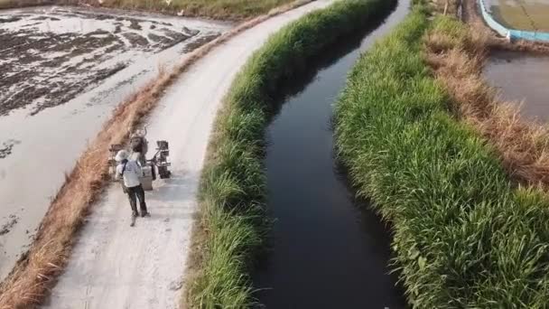 Movimiento aéreo más cerca agricultor mover tractor de dos ruedas en el camino cerca del arrozal . — Vídeos de Stock