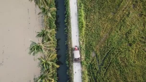 Trator de vista aérea de cima para baixo indo para casa em pequeno caminho perto do campo de arroz . — Vídeo de Stock