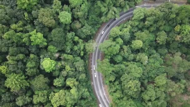 Aerial view curve road near the forest at Jalan Tun Sardon near Balik Pulau. Royalty Free Stock Footage