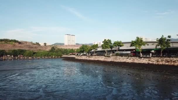 Marée basse aérienne sur la boue au rivage — Video