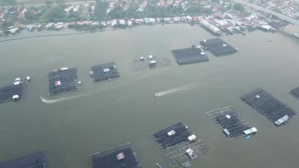 Vue aérienne bateau naviguer sur la ferme piscicole à Sungai Kurau . — Video