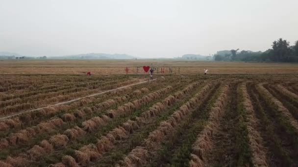 Hashtag #我们喜欢在稻田里有两个稻草人的Penanti告示牌 — 图库视频影像