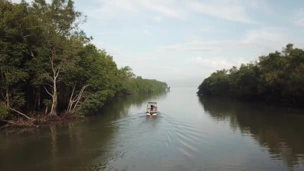 Следуйте рыбацкая лодка двигаться в мангровые деревья лес вечером . — стоковое видео