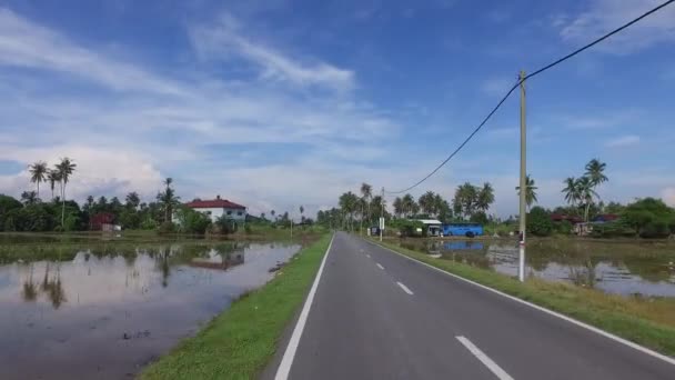 Gimbal tiré sur la route avec de l'eau inondée à la rizière . — Video