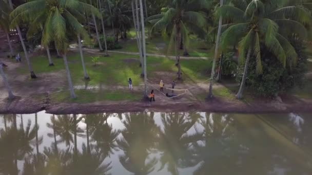 Kampung Agong 'da beşiği olan tropik hindistan cevizi çiftliği. — Stok video
