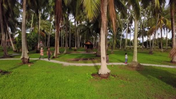 Miembros de la familia malaya caminan por el camino en la plantación de coco en Kampung Agong . — Vídeo de stock