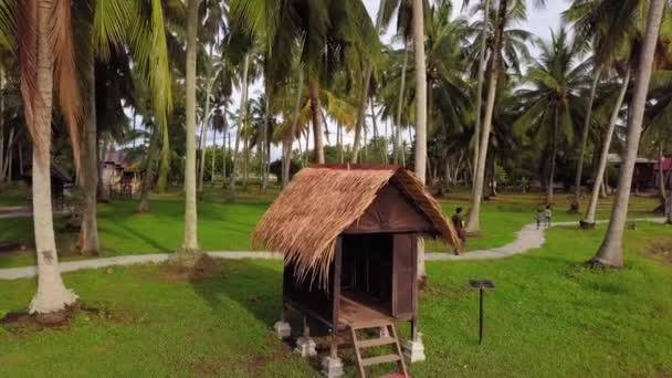 I familiari camminano sul sentiero nella piantagione di cocco . — Video Stock