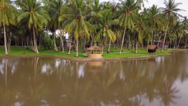 Cabana de madeira vista aérea dentro da plantação de coco em Kampung Agong . — Vídeo de Stock