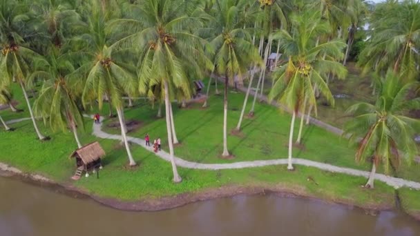 Aerial view tourists visit to coconut plantation eco tourism homestay — Stock Video