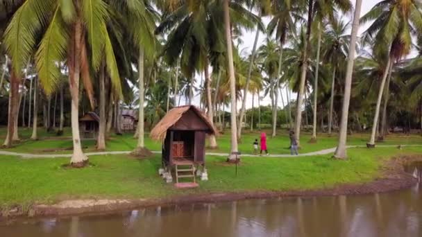 Widok z lotu ptaka członkowie rodziny cieszyć się dekoracje plantacji kokosów — Wideo stockowe
