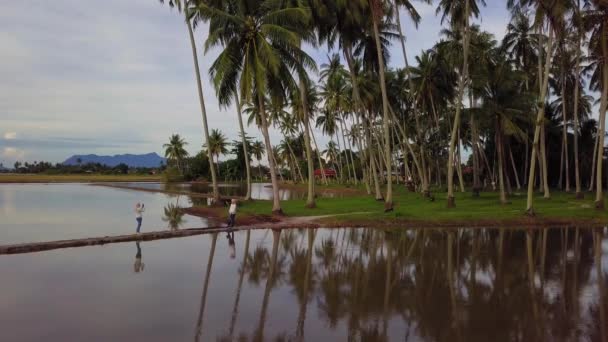 Malaiische Touristin fotografiert ihren Freund auf einer natürlichen Öko-Kokosnussfarm — Stockvideo