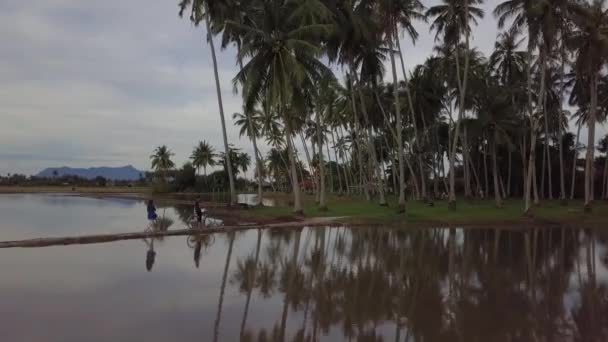 Touristen radeln und wandern in Richtung Kokosnussplantage, umgeben von Wasser. — Stockvideo